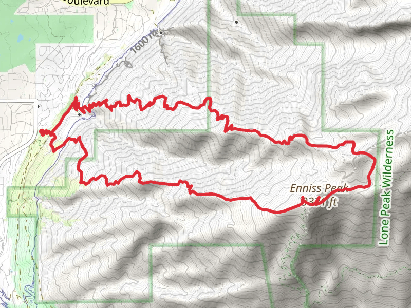 Cherry Canyon Logging Trail and Trail of the Eagle Loop