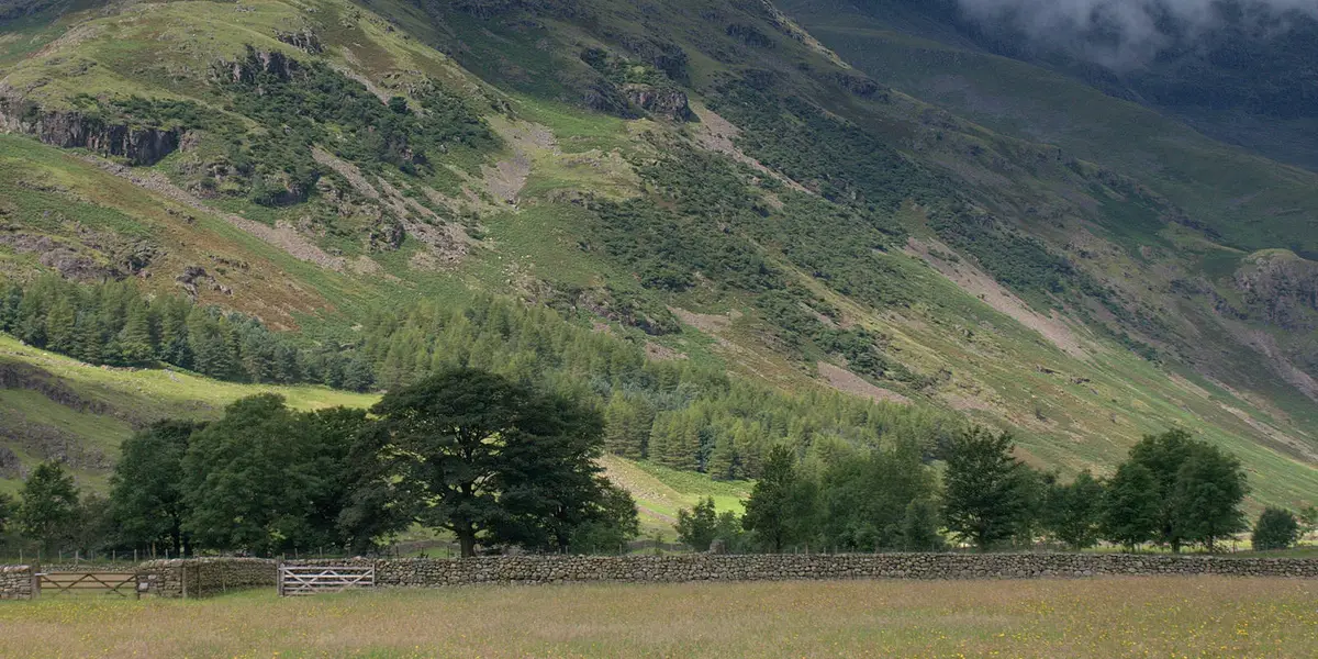Hannah's Meadow - Baldersdale and Brown Rigg Moss