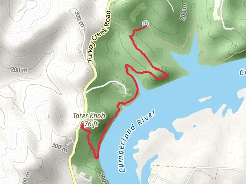 Bearwaller Gap Trail Out and Back