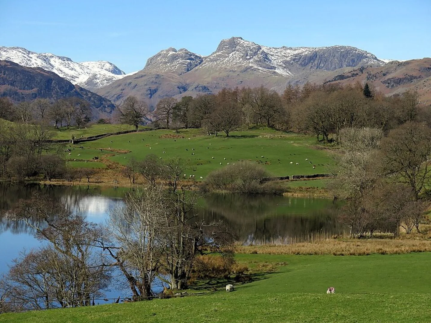 An image depicting the trail Langdale Pikes Loop and its surrounding area.