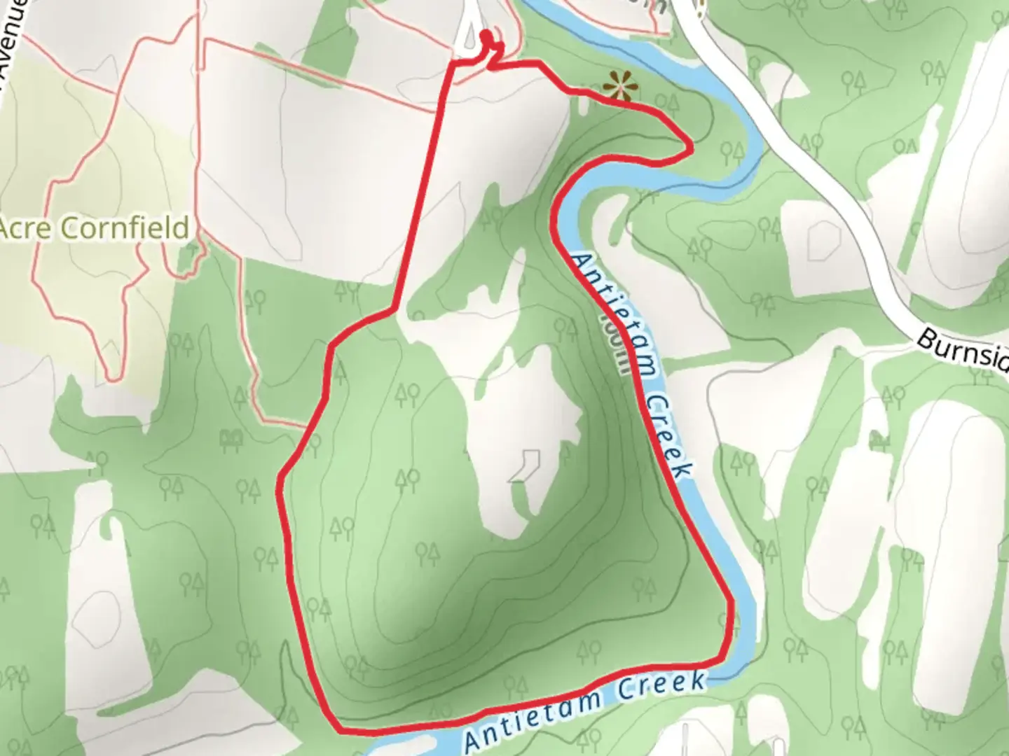 An image depicting the trail Snavely Ford Loop Trail and its surrounding area.
