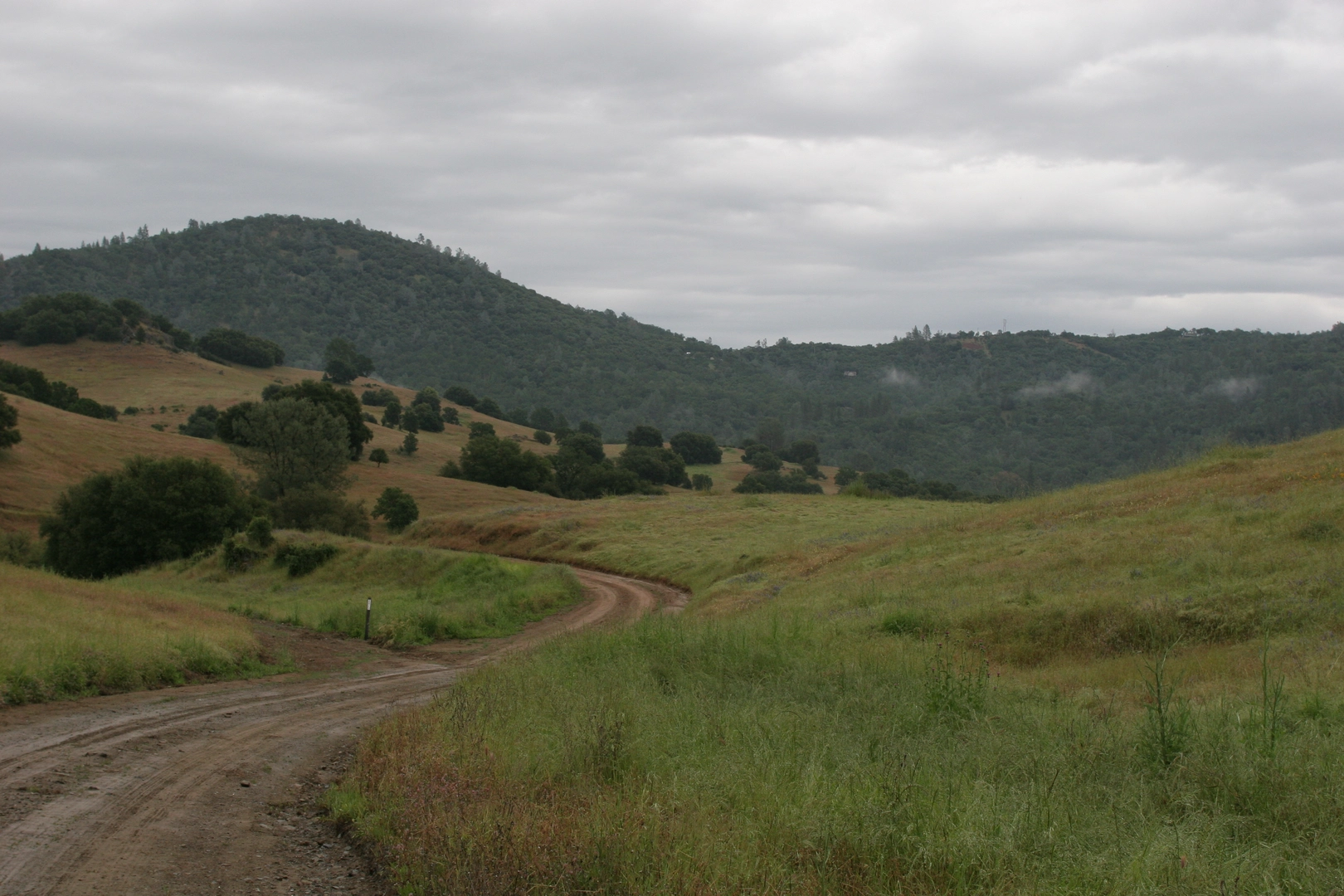 An image depicting the trail Down-Up and West Ridge Loop Trail and its surrounding area.