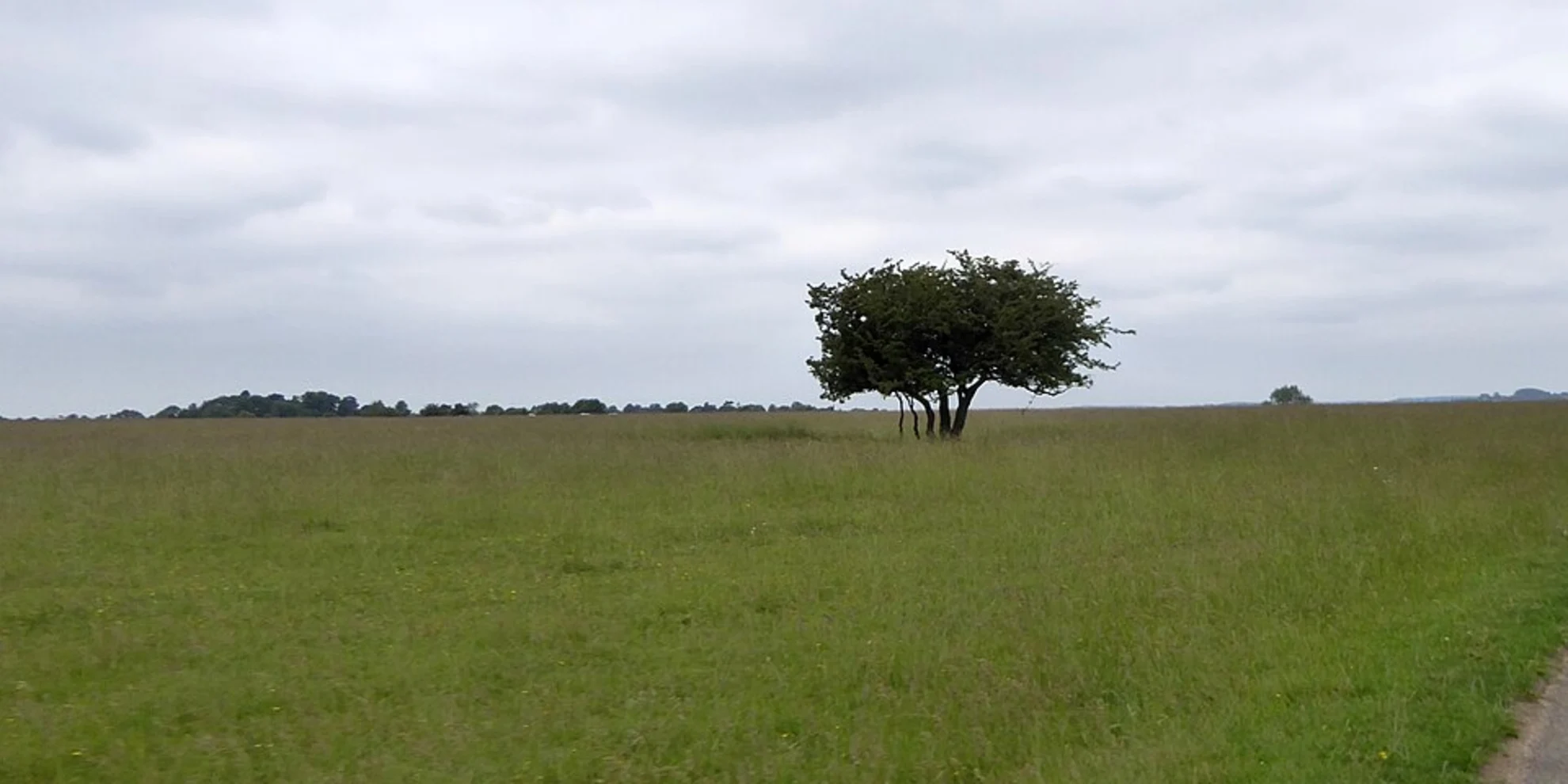 An image depicting the trail Minchinhampton Common Loop - Amberley and its surrounding area.
