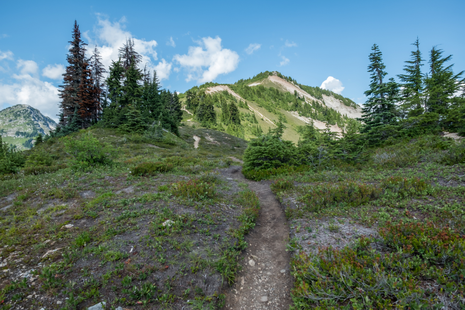 An image depicting the trail Hannegan Peak Trail and its surrounding area.