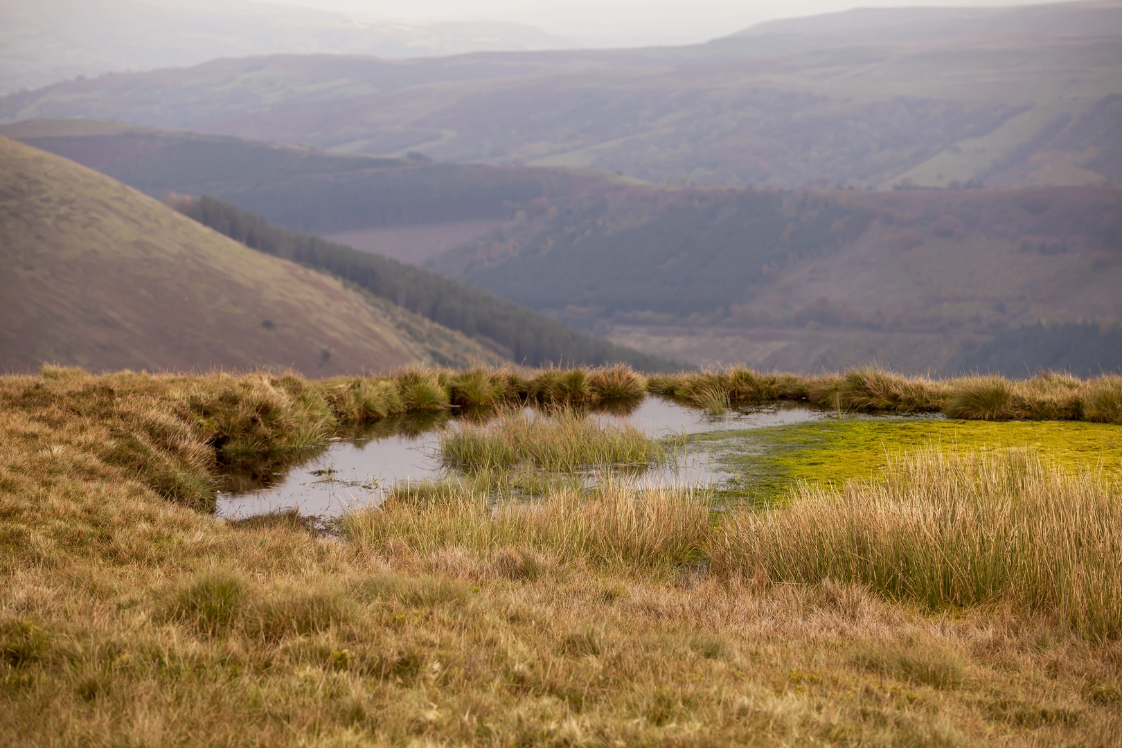 An image depicting the trail Fan y Big from Torpantau and its surrounding area.