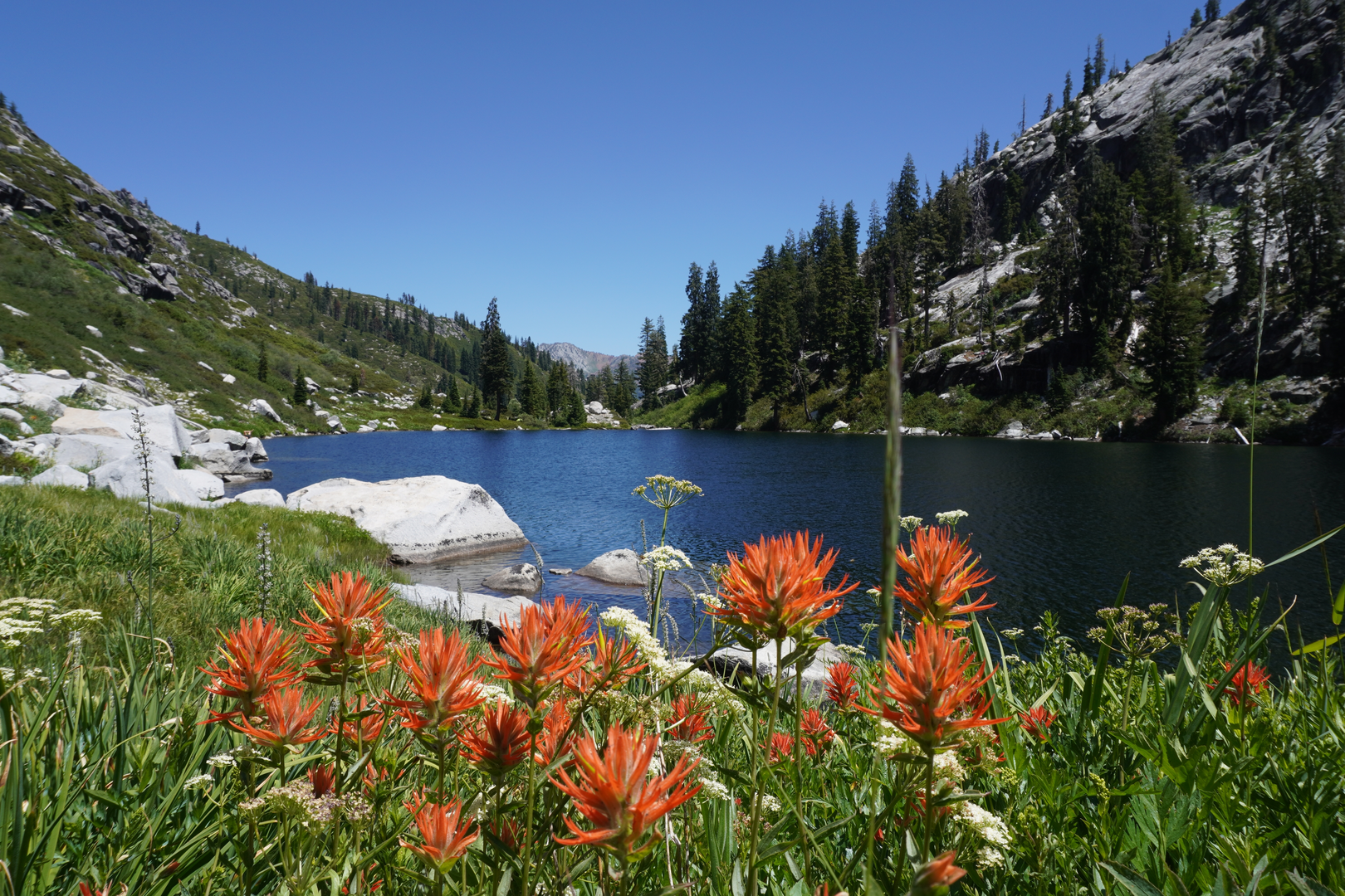 An image depicting the trail Bear Creek Trail and Alpine Lake Trail and its surrounding area.
