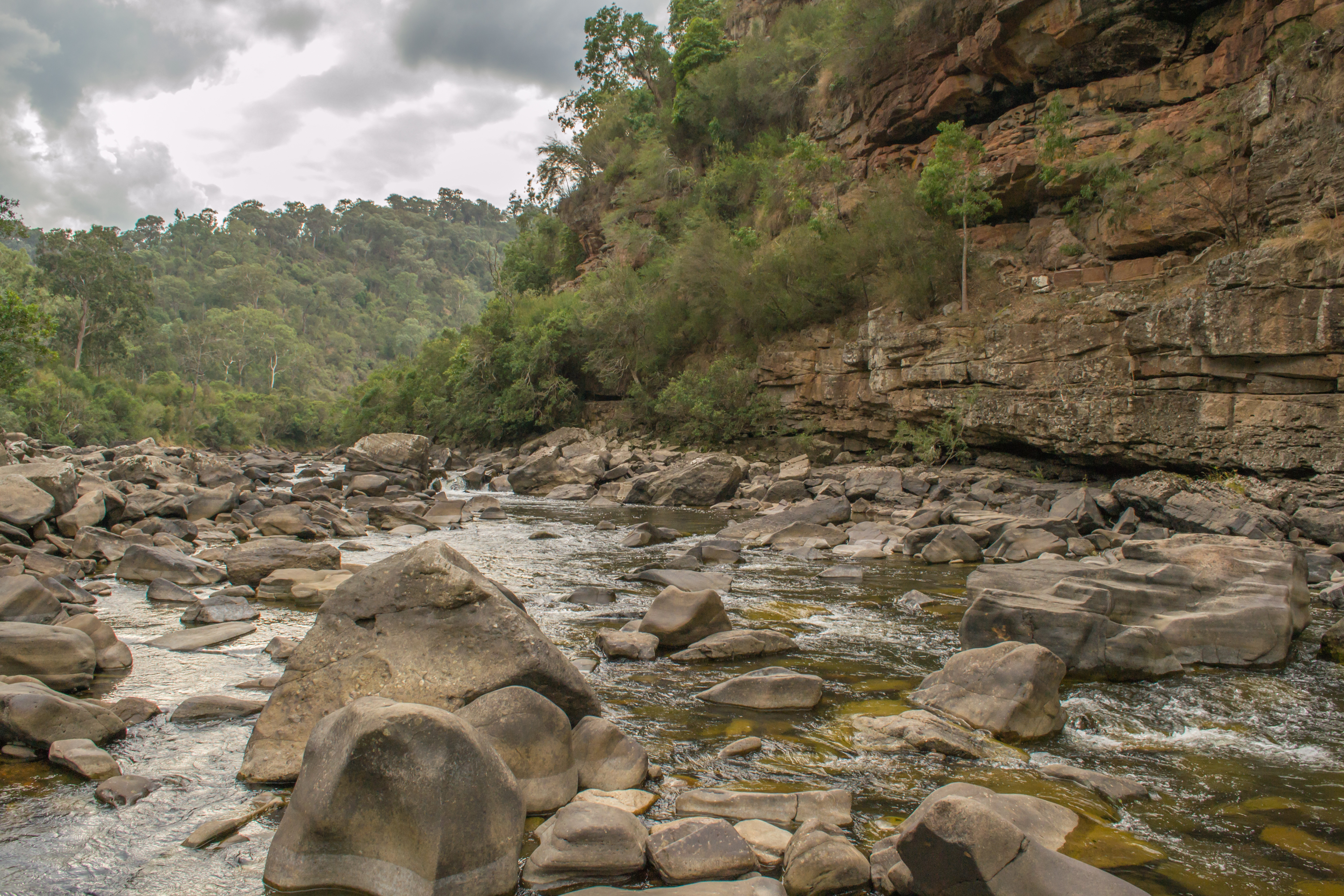 An image depicting the trail Mitchell River National Park and its surrounding area.