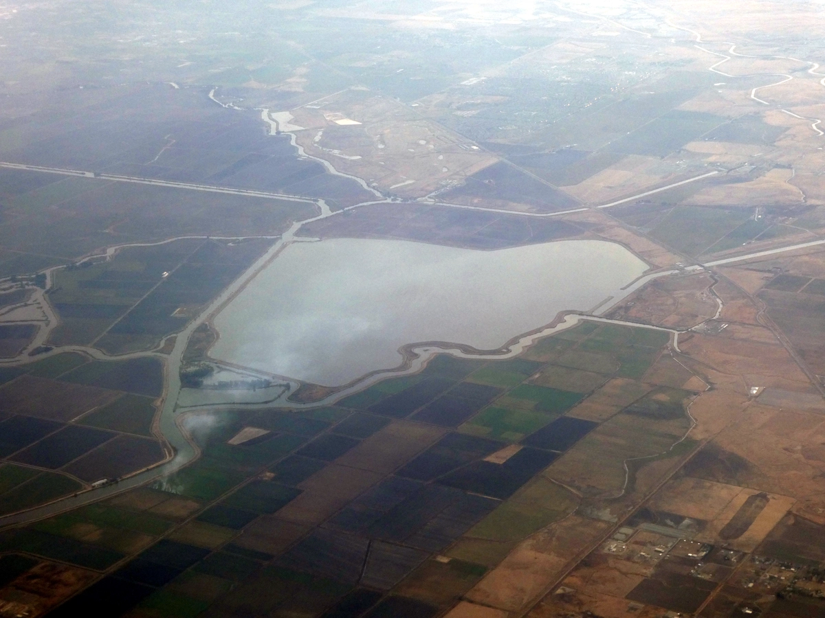 Clifton Court Forebay