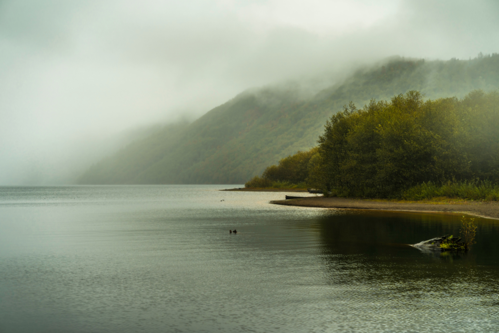An image depicting the trail South Coldwater Trail and its surrounding area.