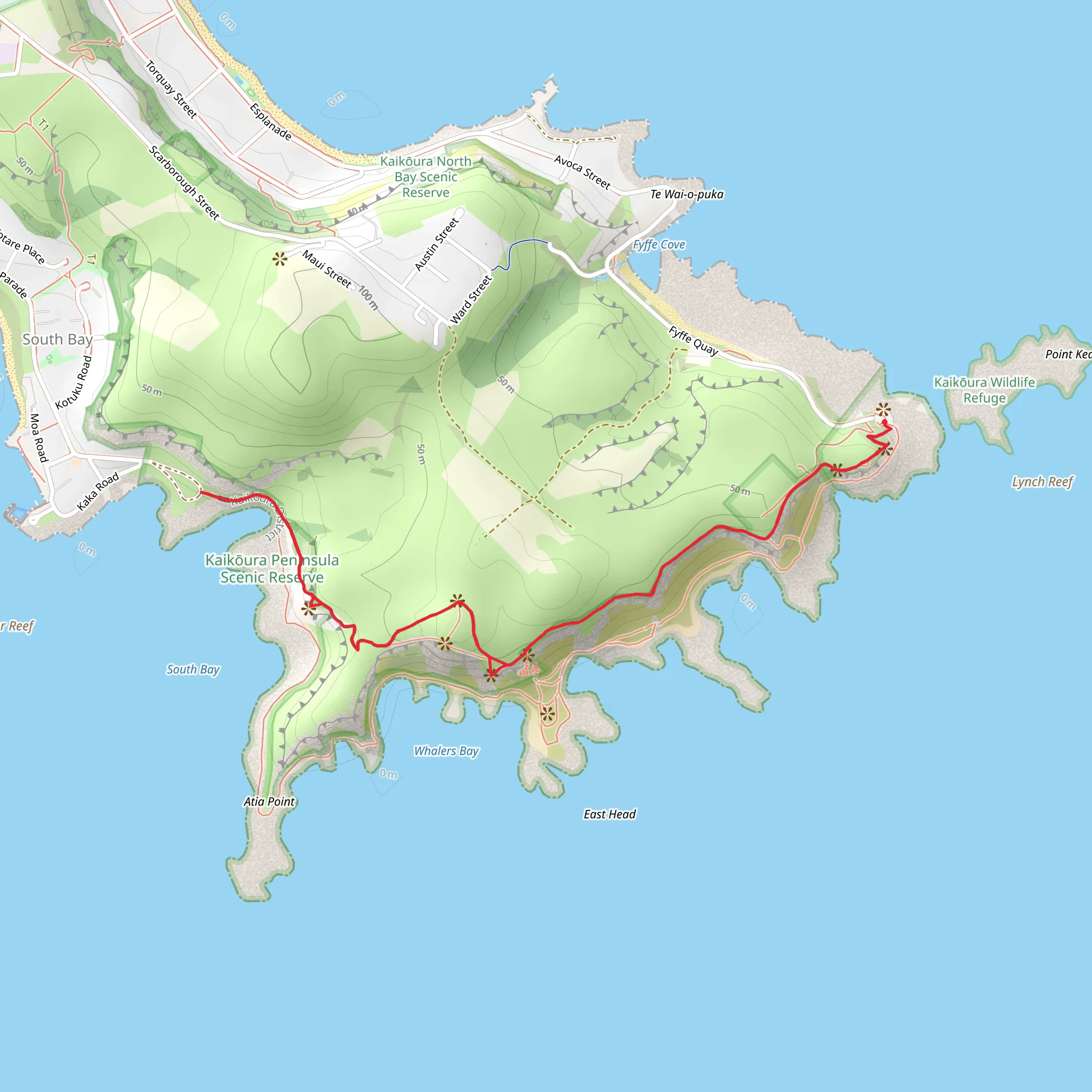 Kaikōura Coastal Track mobile static map