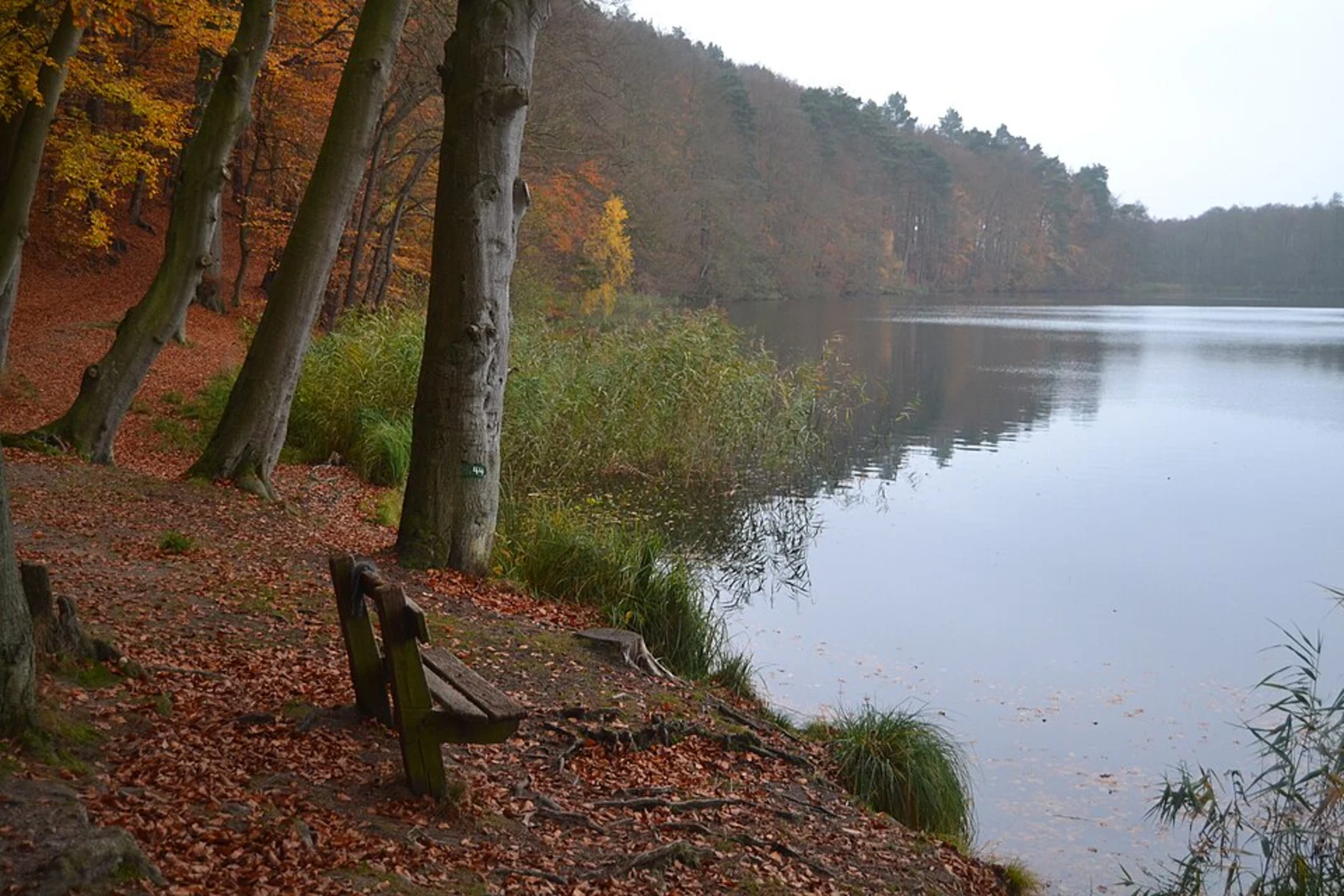 An image depicting the trail Drüsensee, Lütauer See, Schmalsee and Lottsee Scenic Loop and its surrounding area.