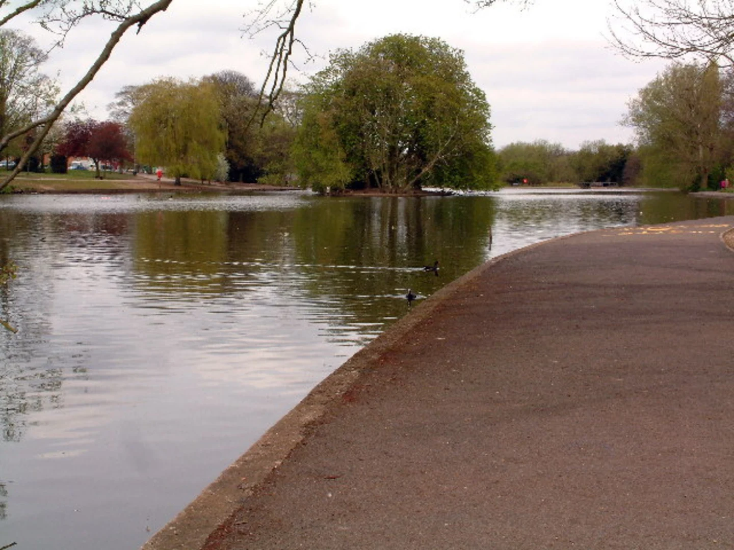 An image depicting the trail Mill Pool and Trittiford Park Walk and its surrounding area.
