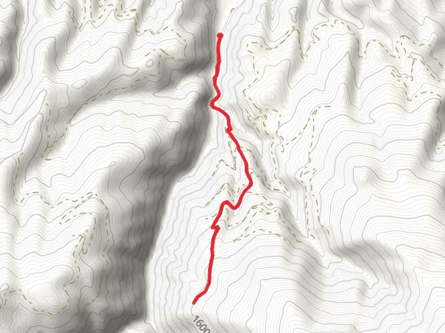 An image depicting the trail South Fork Lolo Creek Trail and its surrounding area.