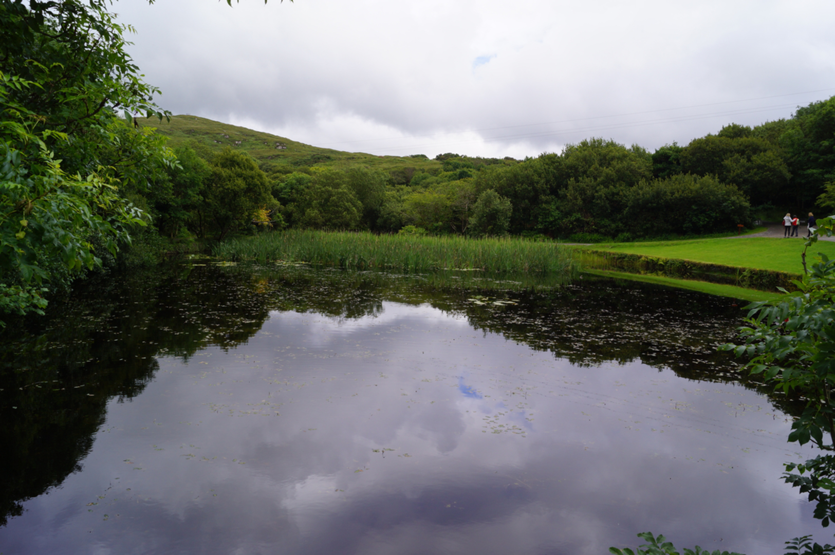 An image depicting the trail Letterfrack Poetry Trail and its surrounding area.