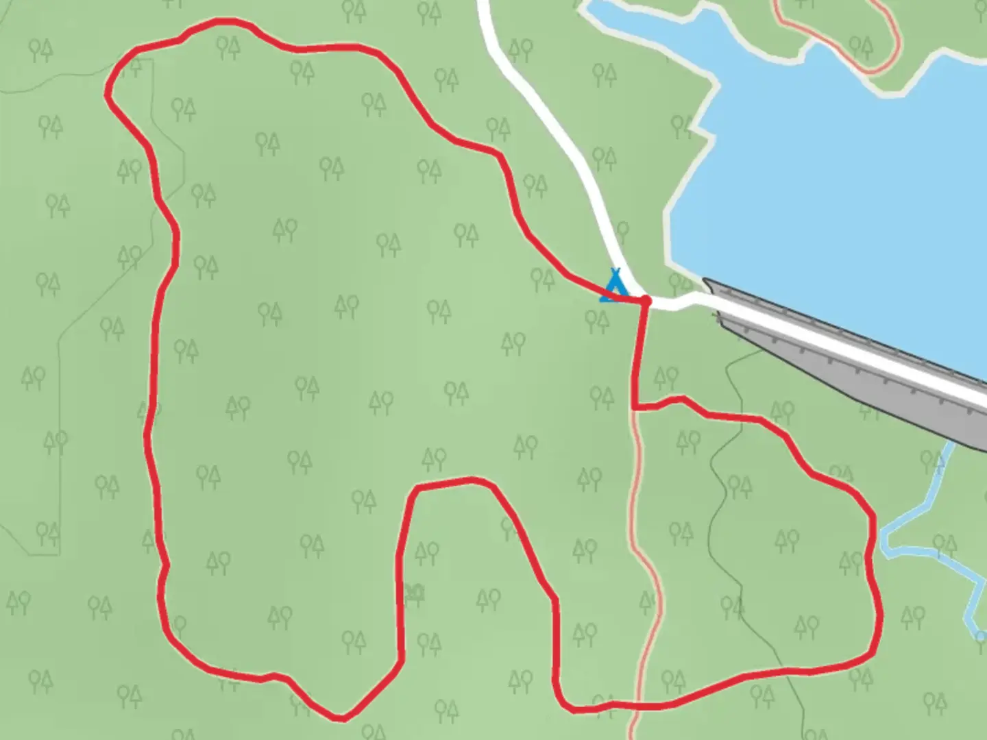 An image depicting the trail Dawson Lake Southwest Shore Loop and its surrounding area.