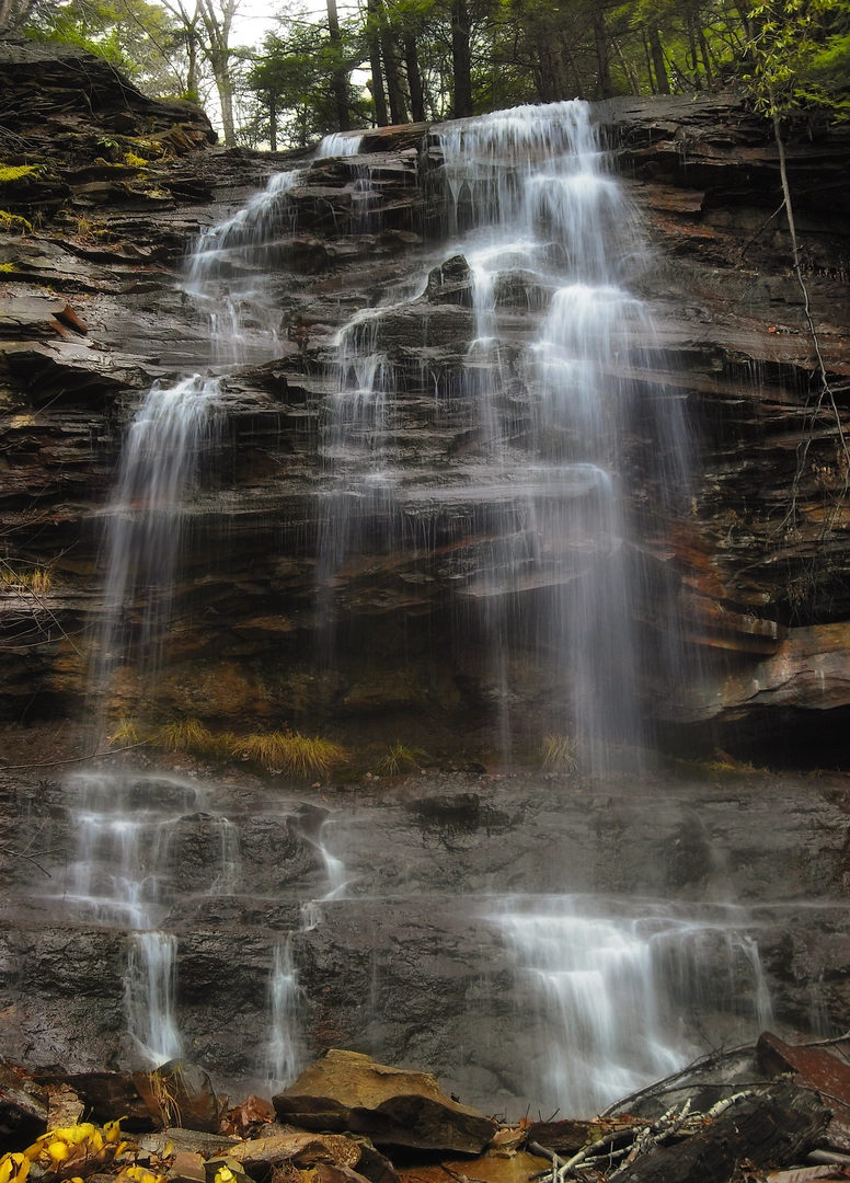 An image depicting the trail Falls Creek from Schrader Creek Road and its surrounding area.