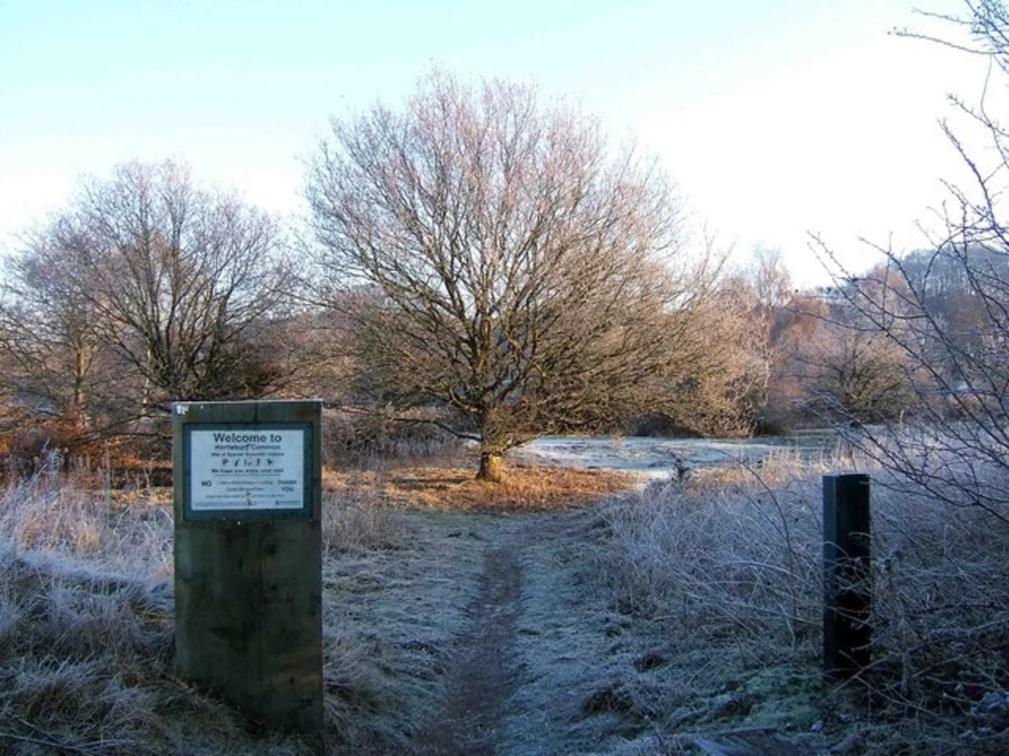 An image depicting the trail Hartlebury Common Loop and its surrounding area.