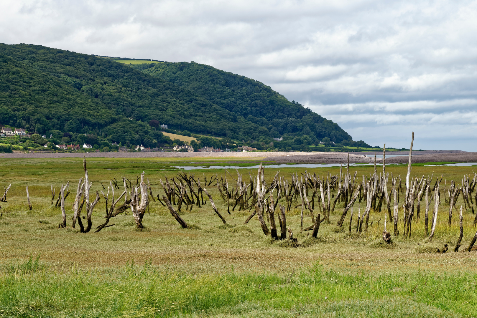 An image depicting the trail Porlock Marsh and its surrounding area.
