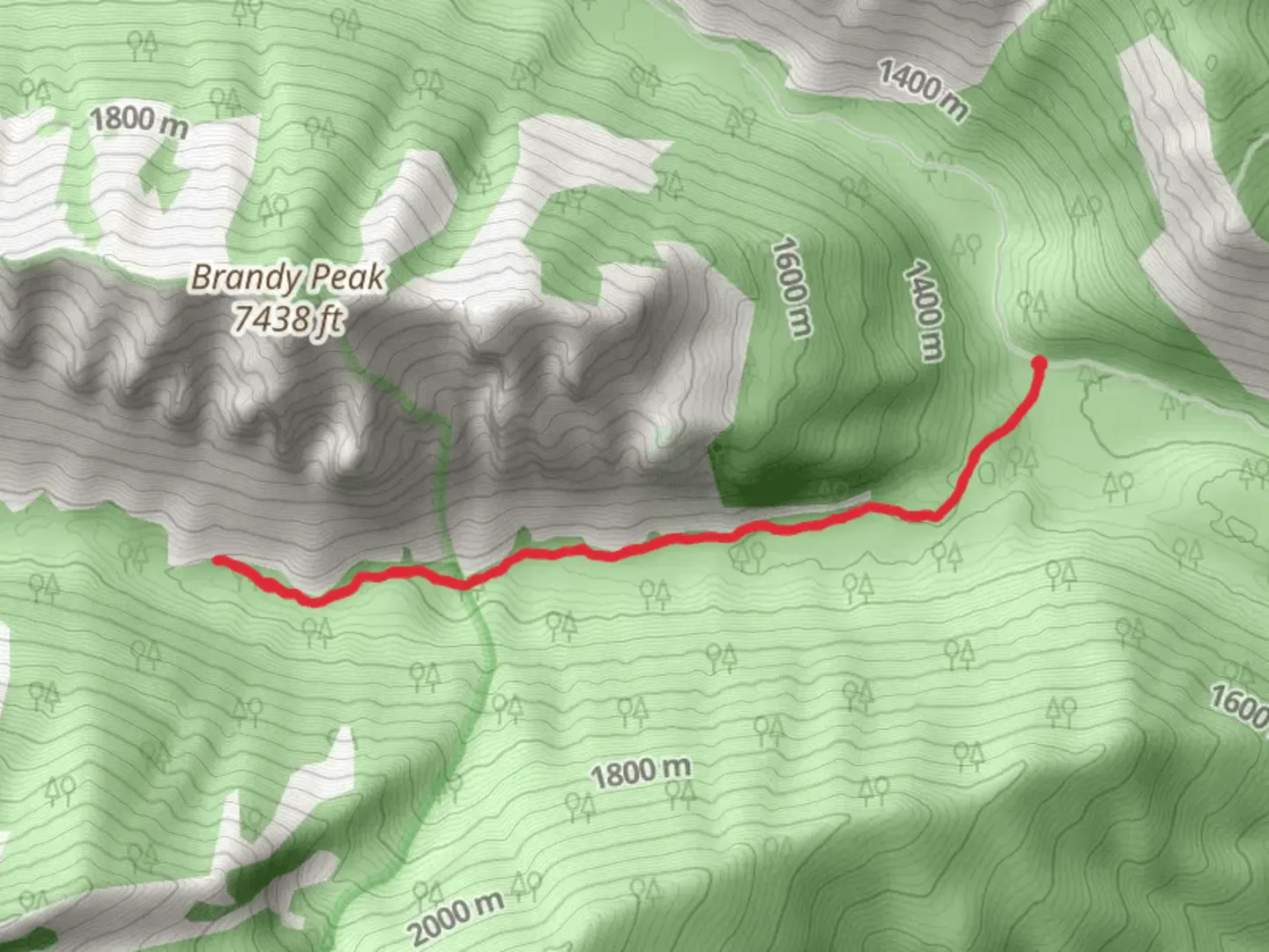 An image depicting the trail Lower South Fork Lost Horse Trail and its surrounding area.