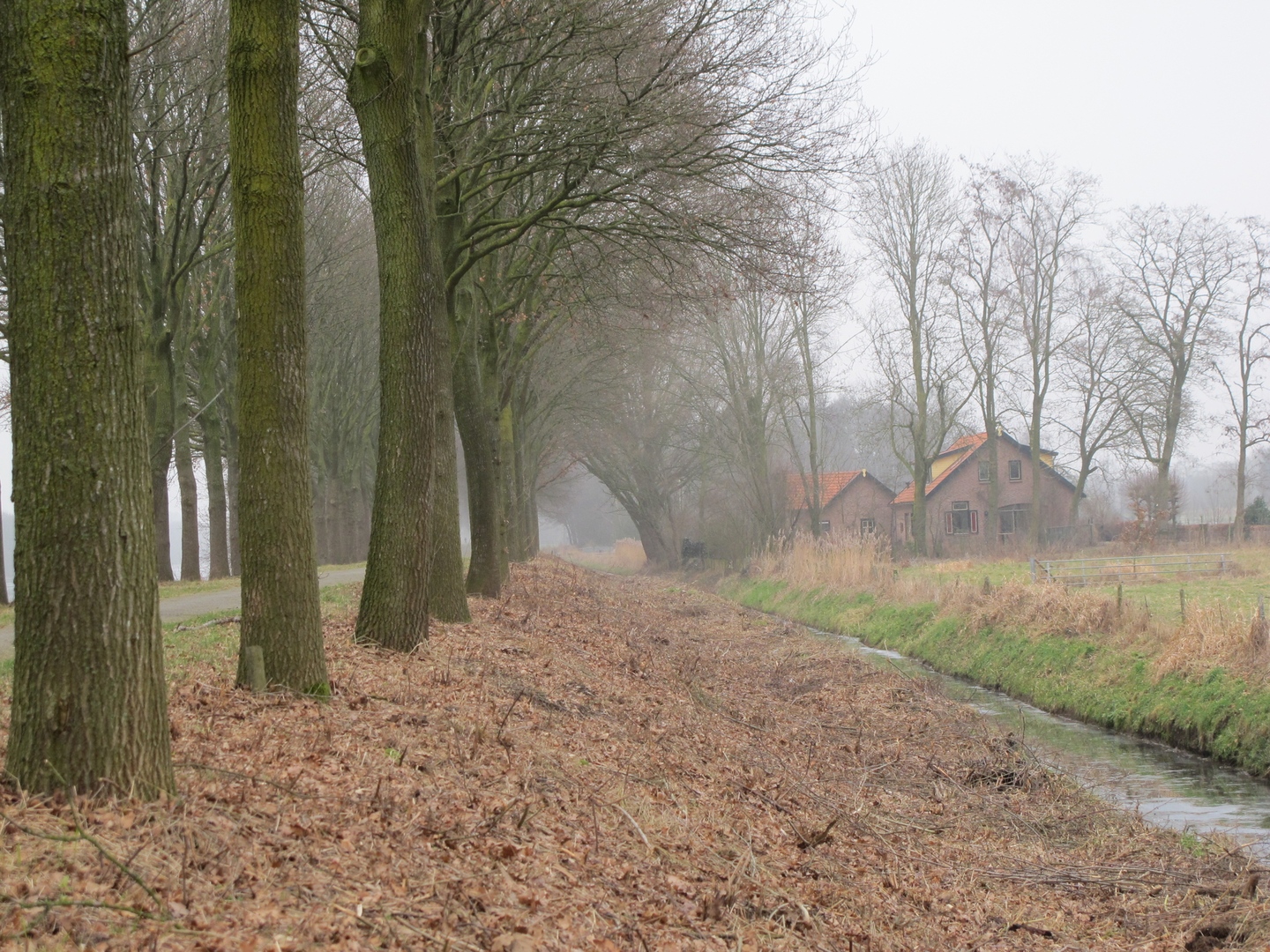 An image depicting the trail Witteweg, Bos Weg and Schutterspad and its surrounding area.