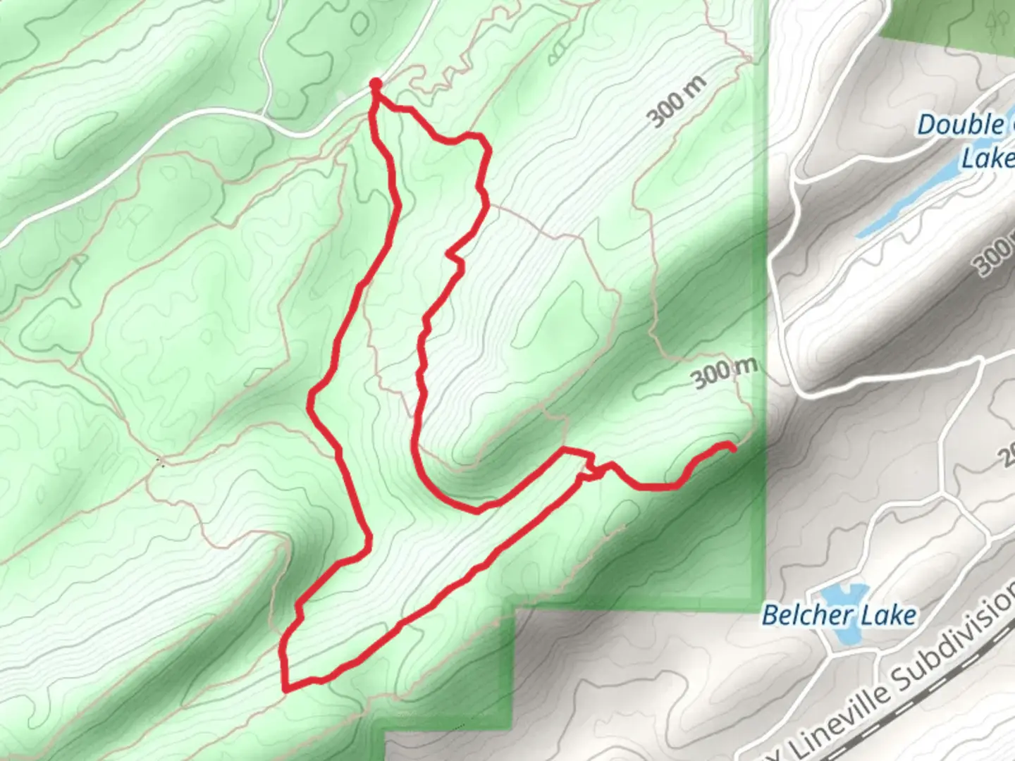 An image depicting the trail King's Chair Overlook,Blue and Red Road Loop and its surrounding area.