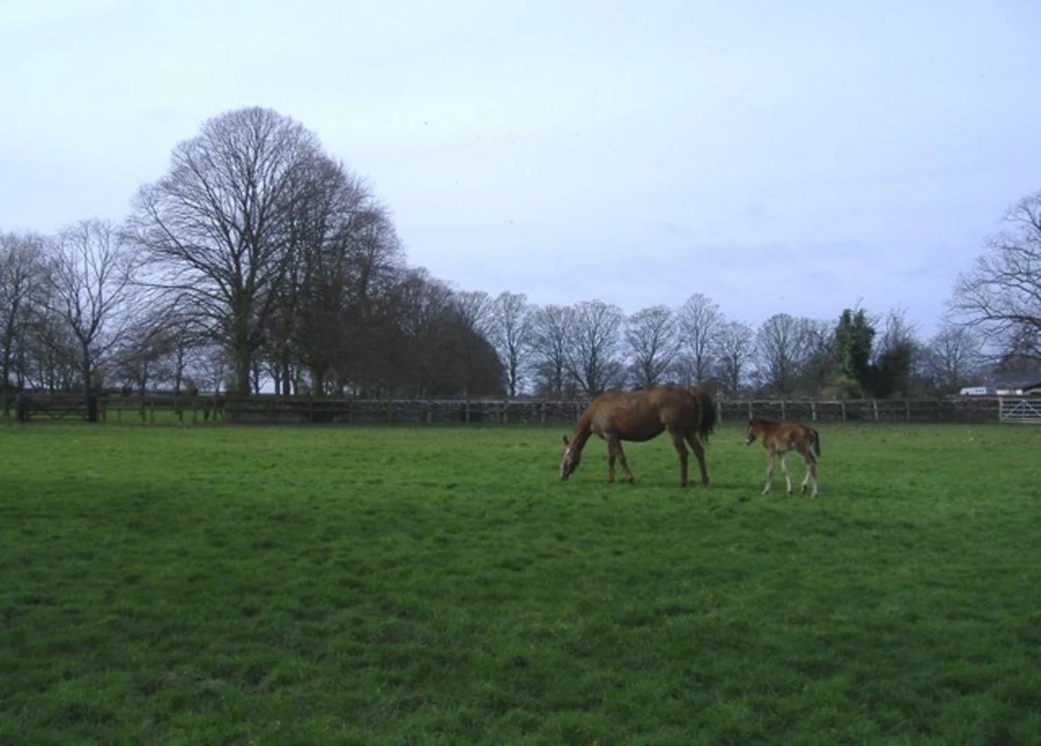 An image depicting the trail Corsham to Biddestone Peacock Trail and its surrounding area.
