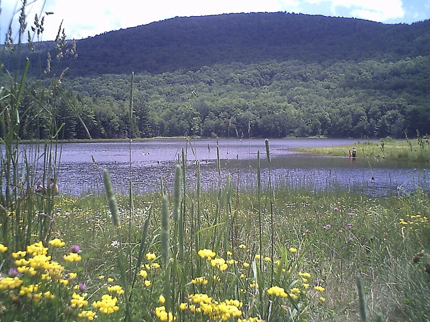 An image depicting the trail Colgate Lake Walk and its surrounding area.