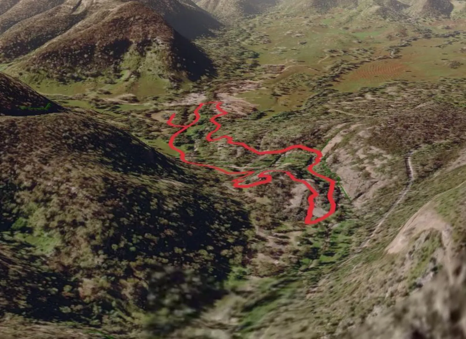 An image depicting the trail Wambelong Nature Loop Track and its surrounding area.