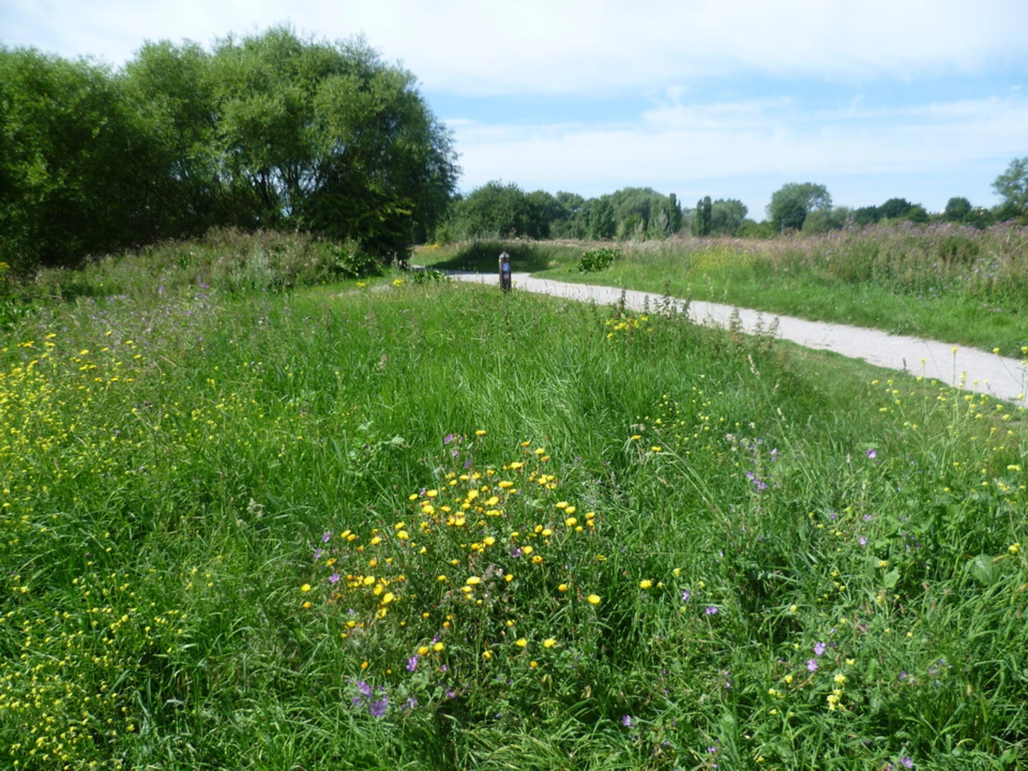 An image depicting the trail South Norwood Country Park and its surrounding area.