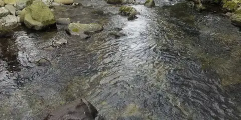 An image depicting the trail Gruffalo Trail - Colin Glen and its surrounding area.