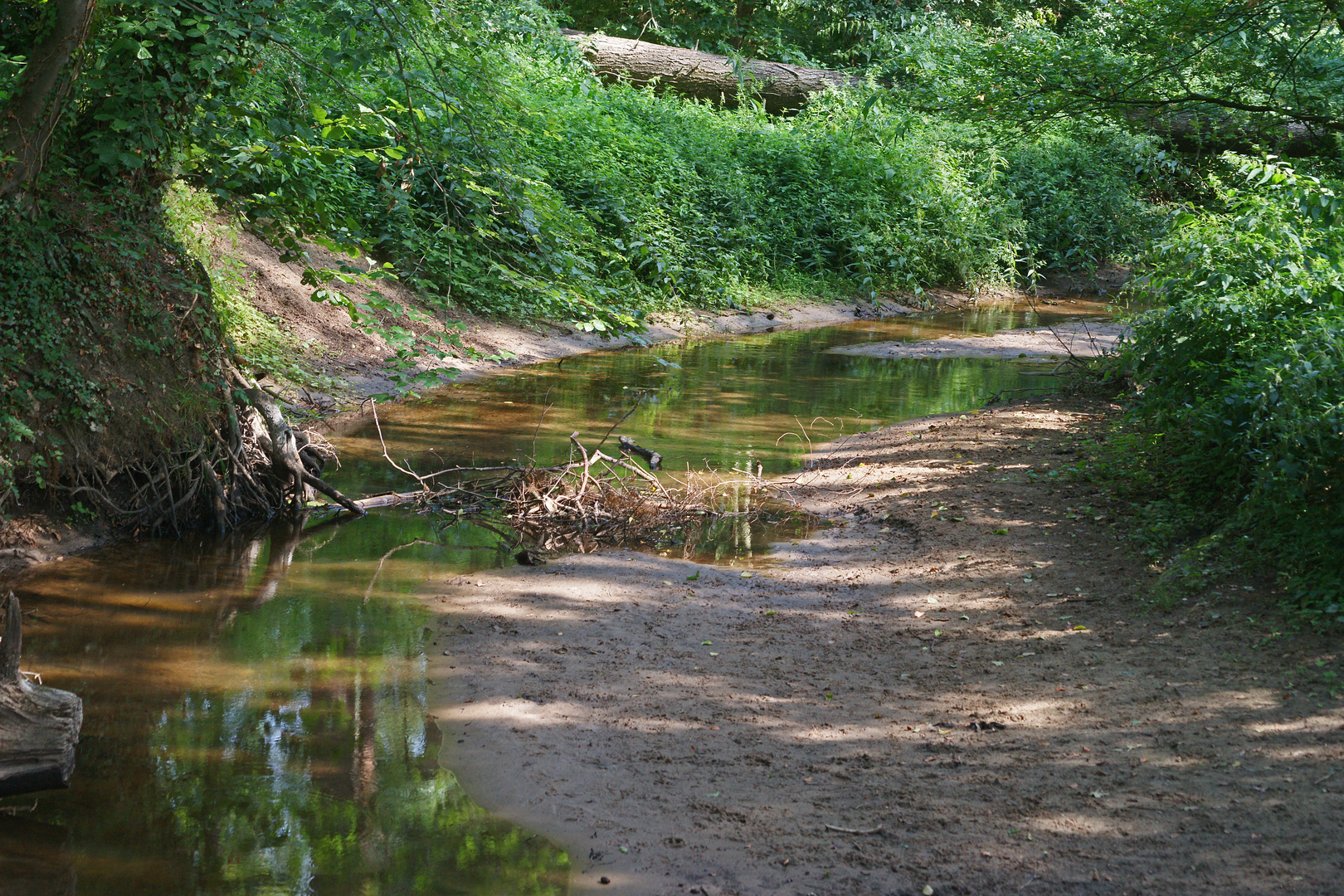 An image depicting the trail Bredevoort to Winterswijk via Kleuverspad and Oude Bocholtsbaan and its surrounding area.