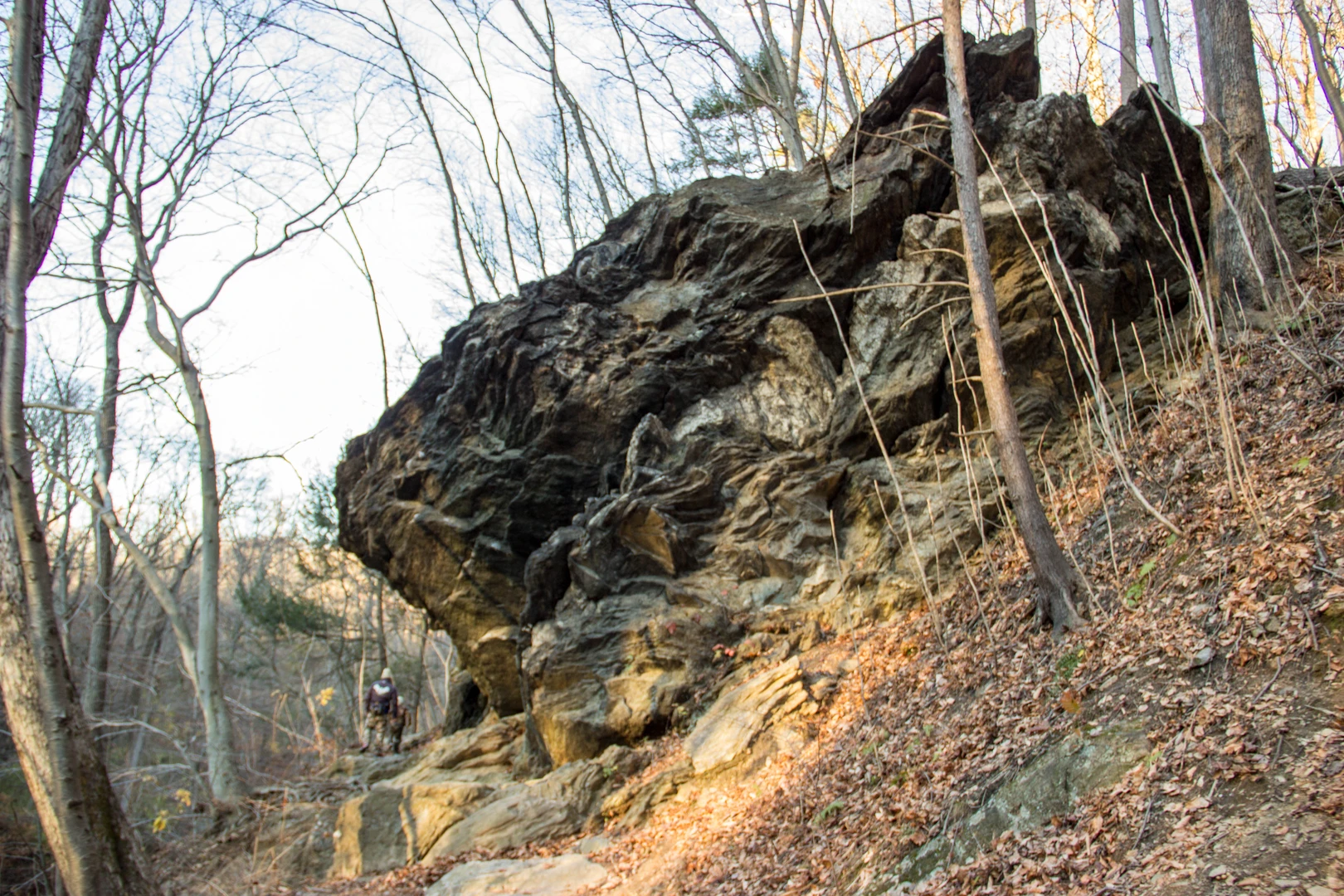 An image depicting the trail Wissahickon Creek Loop via White and Orange Trail and its surrounding area.