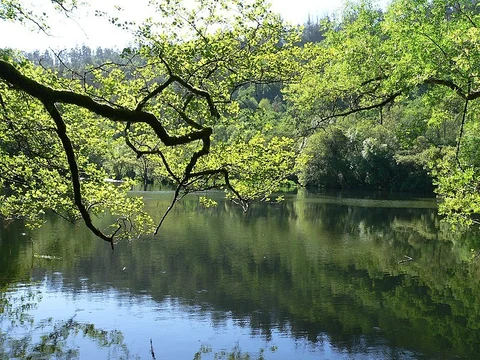 Ribeira do Ulla Touro Route PR G 093