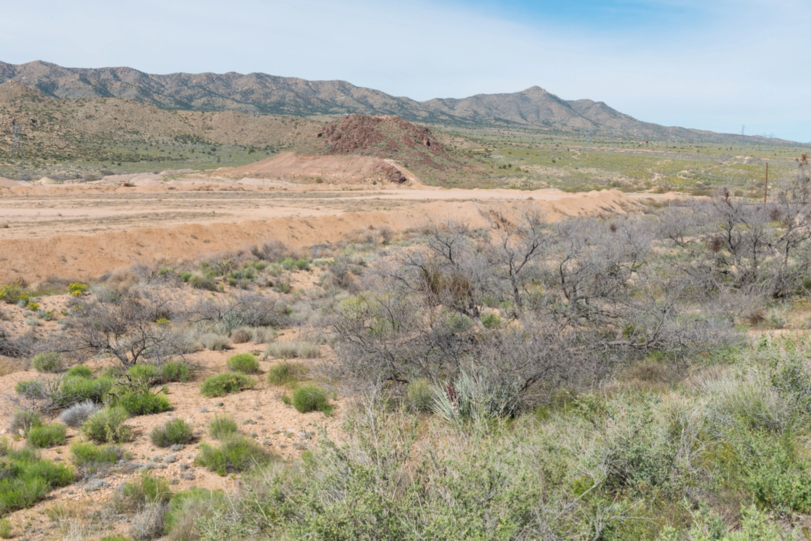 An image depicting the trail Towel Creek and Hackberry Mountain Loop Trail and its surrounding area.