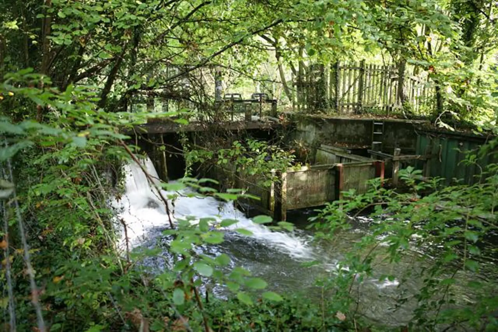 An image depicting the trail Brambridge Park to Stoke Park Wood Walk and its surrounding area.
