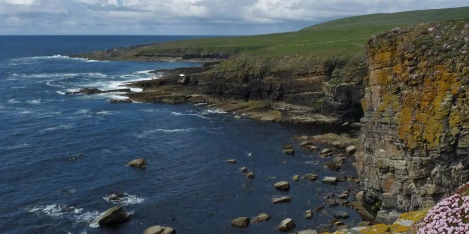 An image depicting the trail Orkney - Westray West Coast Walk from Skea Hill and its surrounding area.