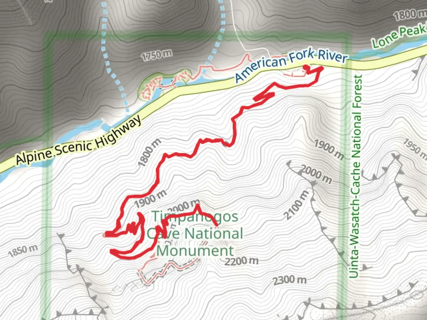 An image depicting the trail Timpanogos Cave Trail and its surrounding area.