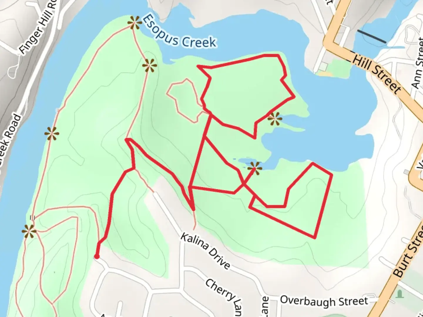 An image depicting the trail Esopus Creek Loop via Wetlands Trail Loop and its surrounding area.