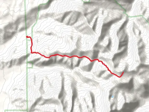Elephanthead Mountain via Suce Creek Trail