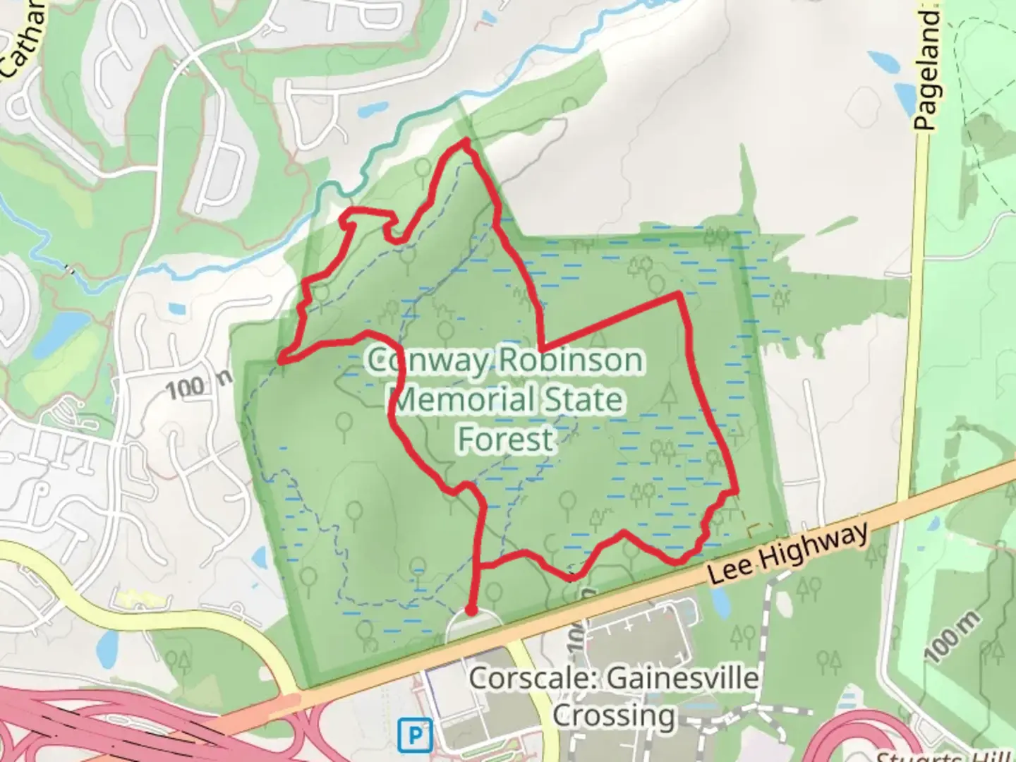 An image depicting the trail Conway Robinson Memorial State Forest Loop and its surrounding area.