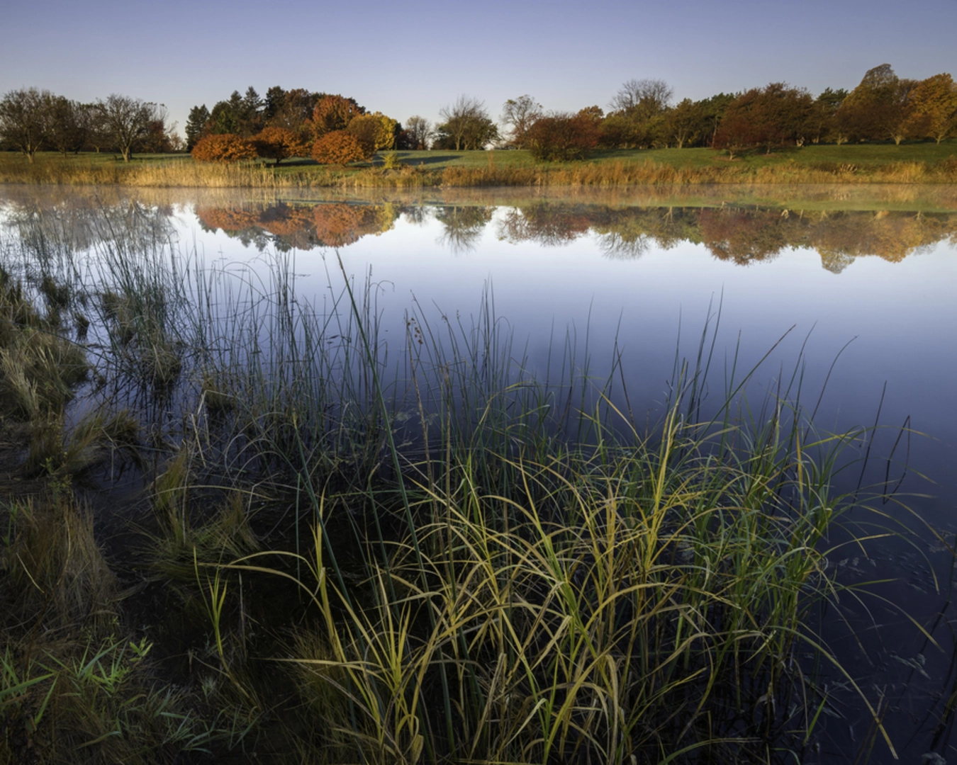 An image depicting the trail Crabapple Lake and its surrounding area.