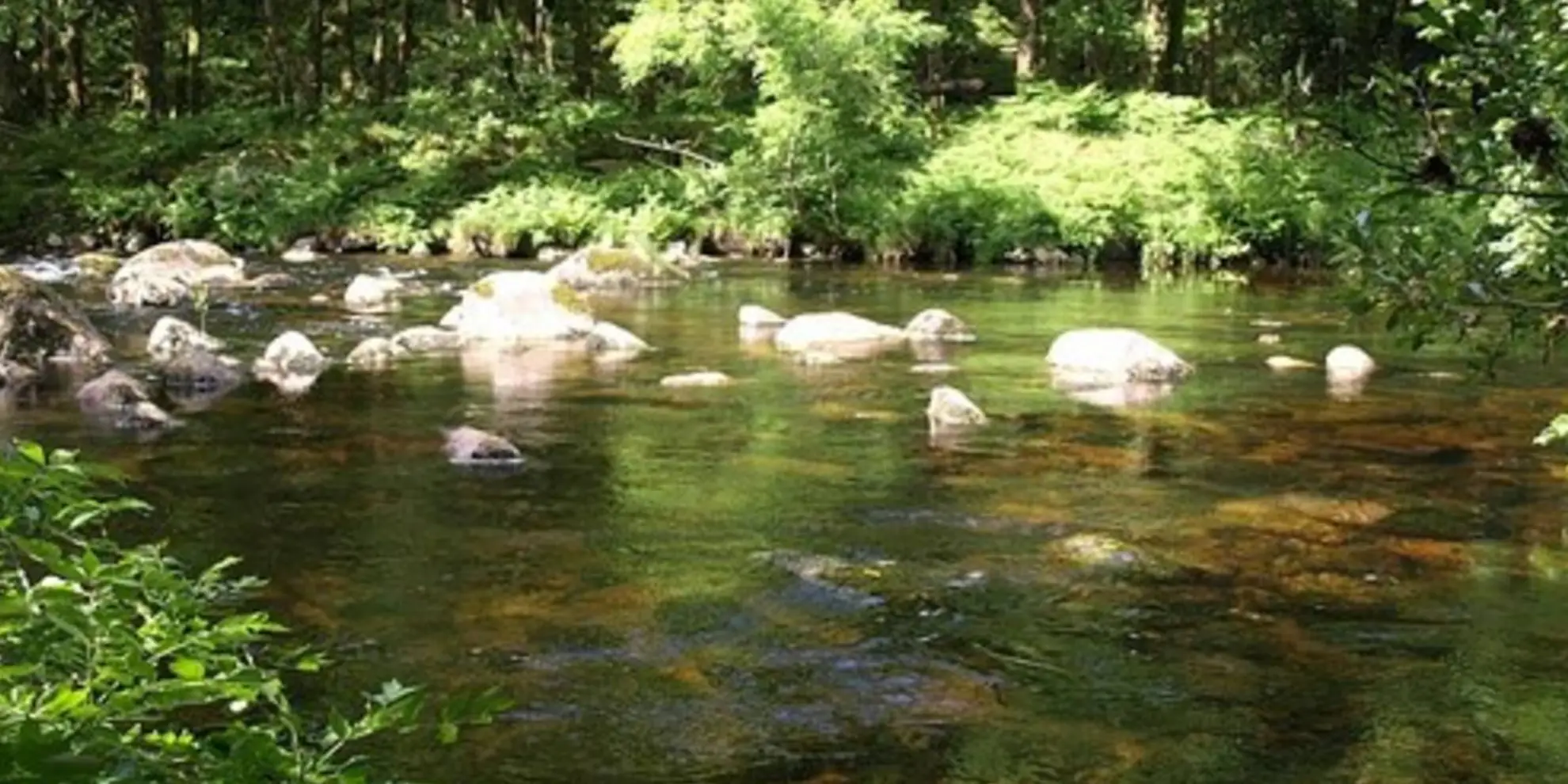An image depicting the trail Sharrah Pool from New Bridge and its surrounding area.