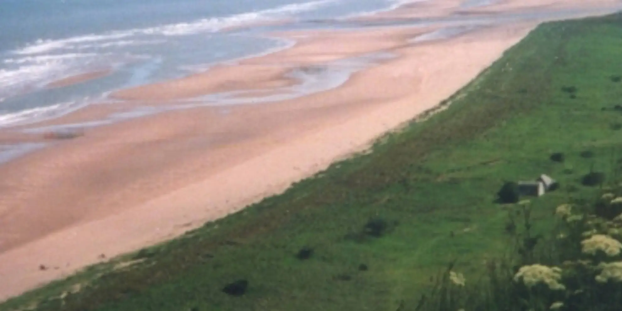 An image depicting the trail St Cyrus Beach Loop and its surrounding area.