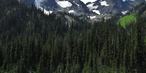 An image depicting the trail Royal Basin and its surrounding area.
