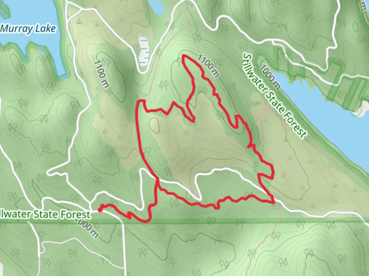 An image depicting the trail Whitefish Trail - Beaver Lakes Loop and its surrounding area.