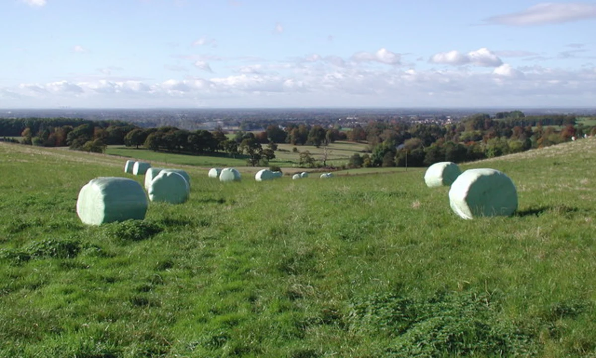 Pocklington, Millington and Bishop Wilton Loop