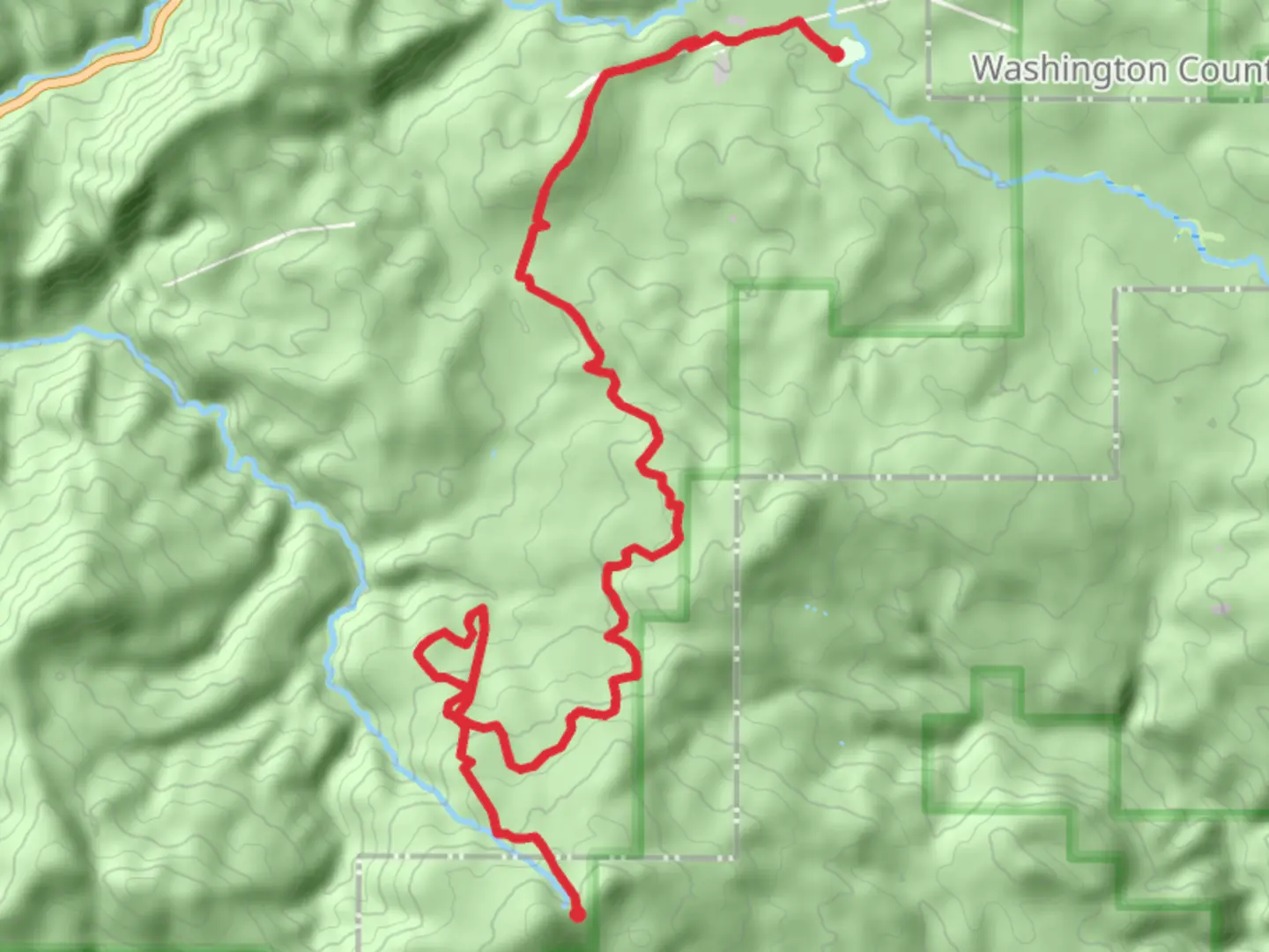An image depicting the trail Cedar Tree, Fire Break Five and South Fork Wilson River and its surrounding area.
