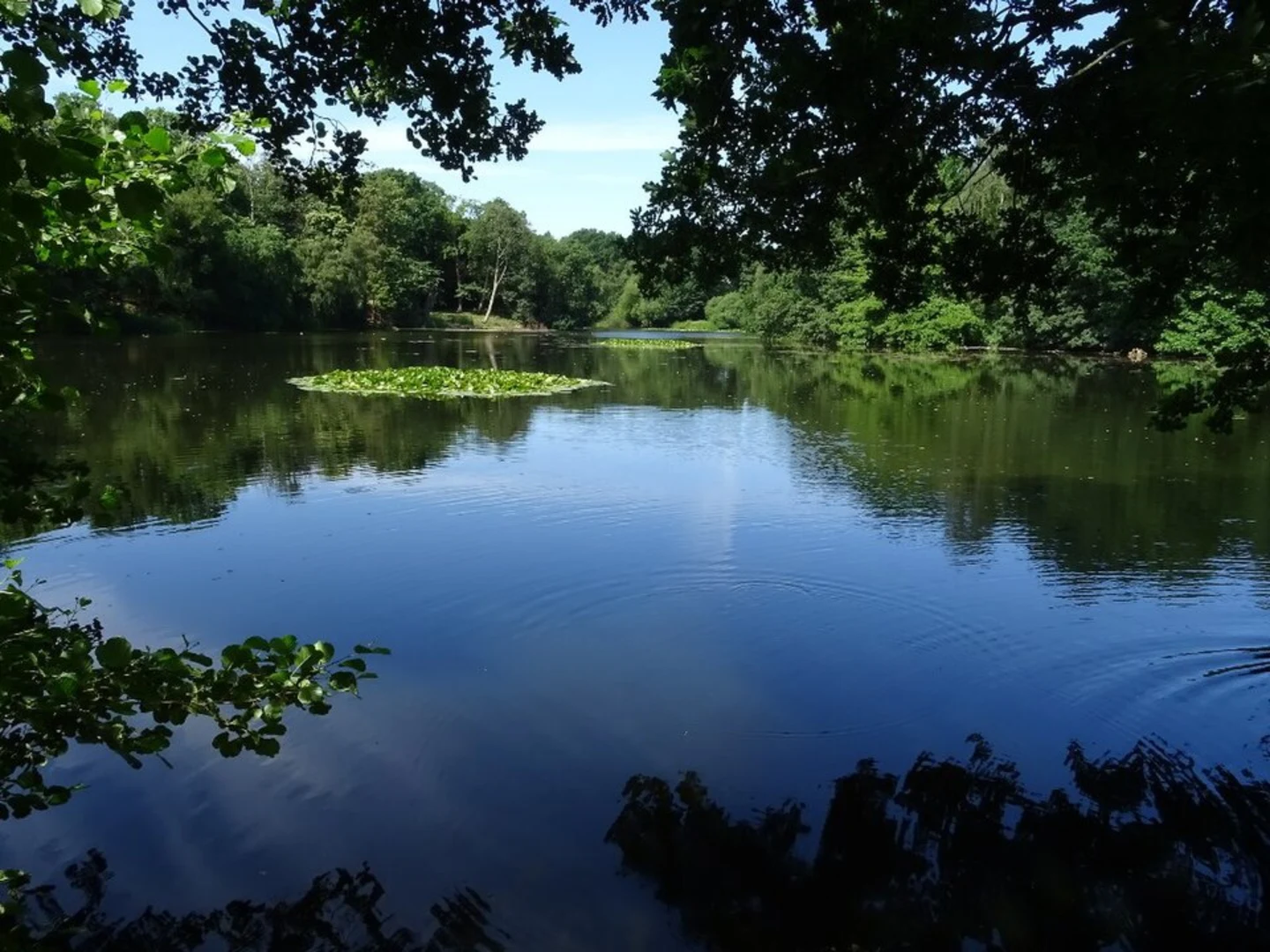 An image depicting the trail Bretton Country Park Circular and its surrounding area.