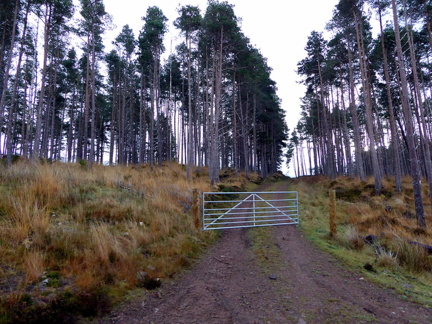 An image depicting the trail Rosal Clearance Village Trail and its surrounding area.