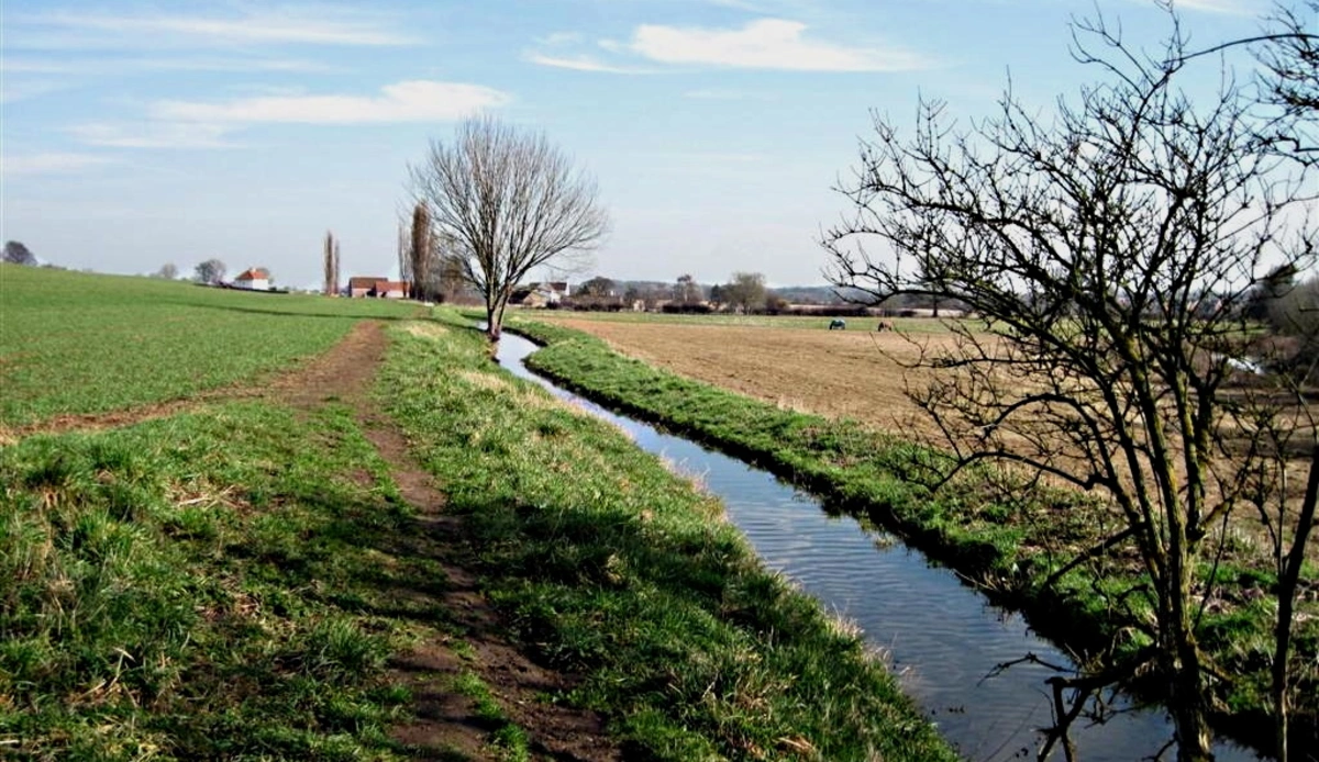 Old Meadow Wood, Low Spring Wood and Pudding Dyke Loop